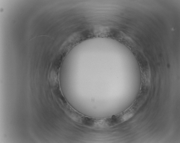 X0000063520705200601271836