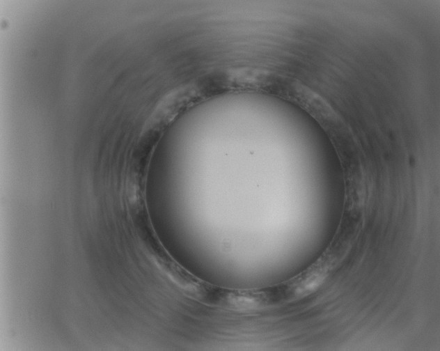 X0000063520706200601271836