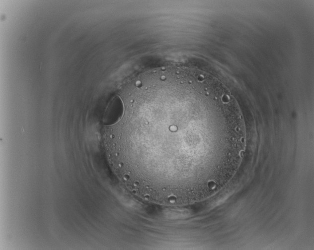 X0000063520707200601271836