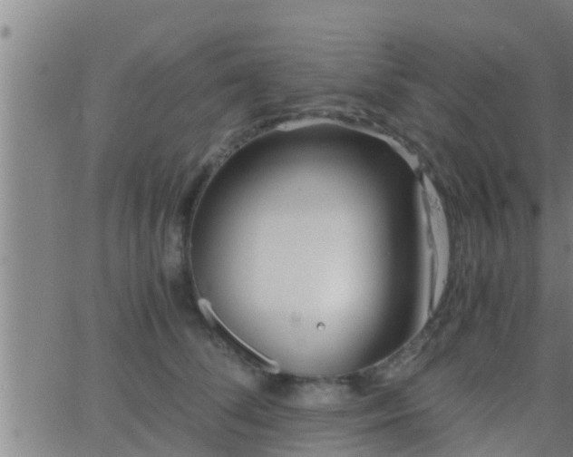 X0000063520708200601271836