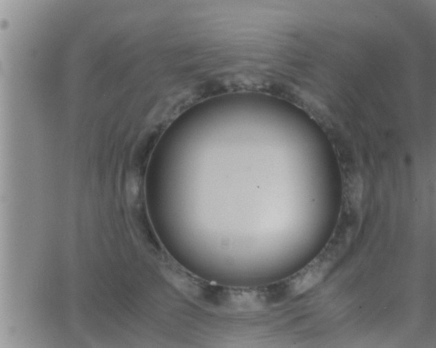 X0000063520709200601271836