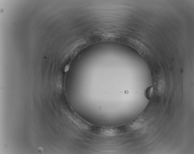 X0000063520710200601271836