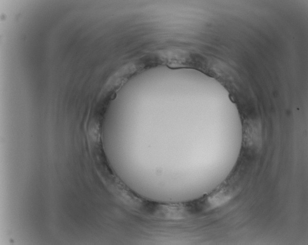 X0000063520713200601271836