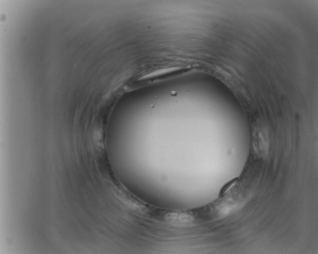 X0000063520714200601271836