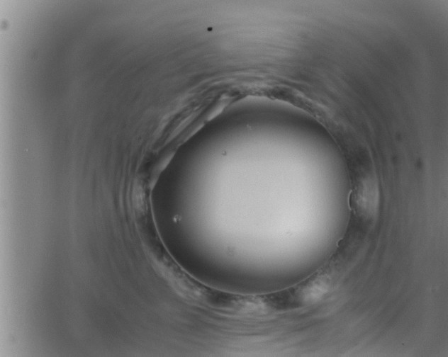 X0000063520715200601271836