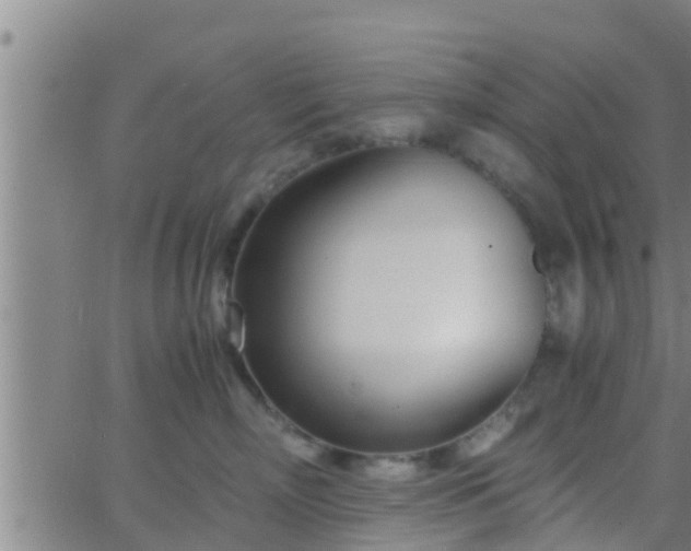 X0000063520718200601271836