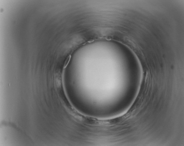 X0000063520719200601271836