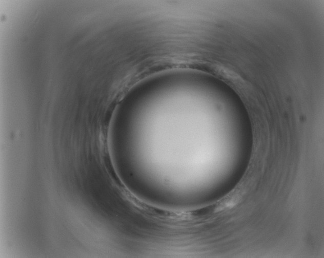 X0000063520720200601271836