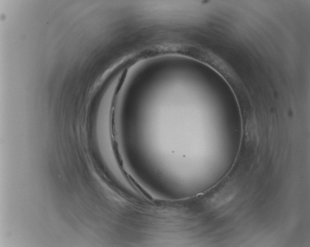 X0000063520722200601271835