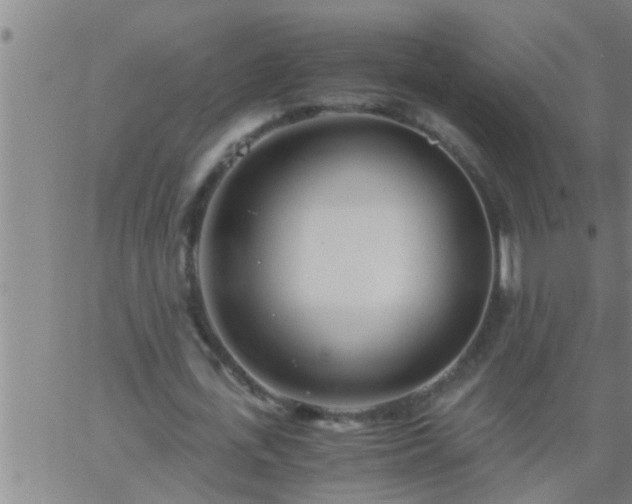 X0000063520723200601271835