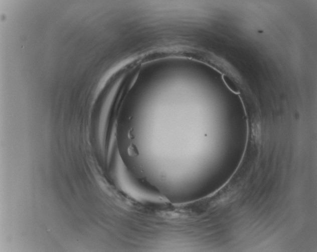 X0000063520724200601271835