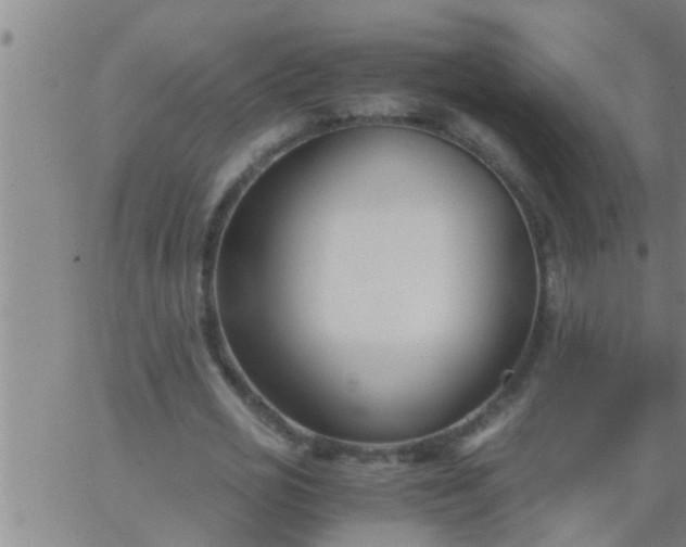 X0000063520725200601271835