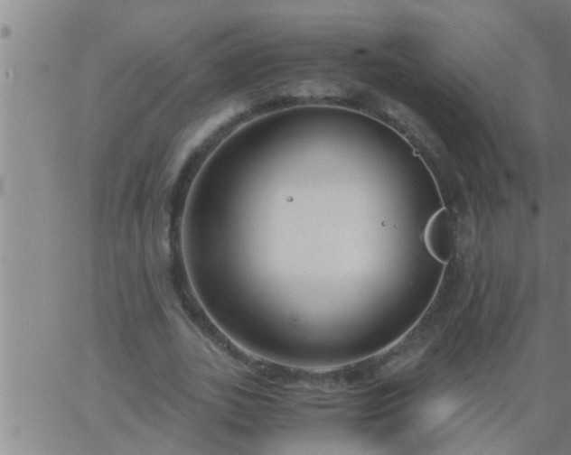 X0000063520727200601271835