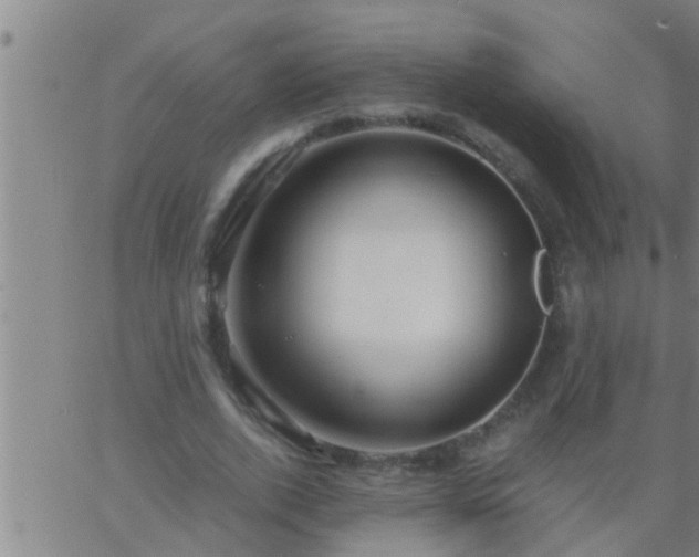 X0000063520728200601271835