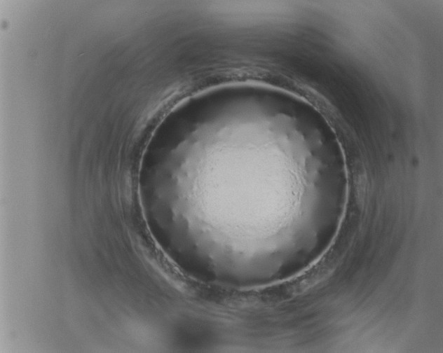 X0000063520729200601271835