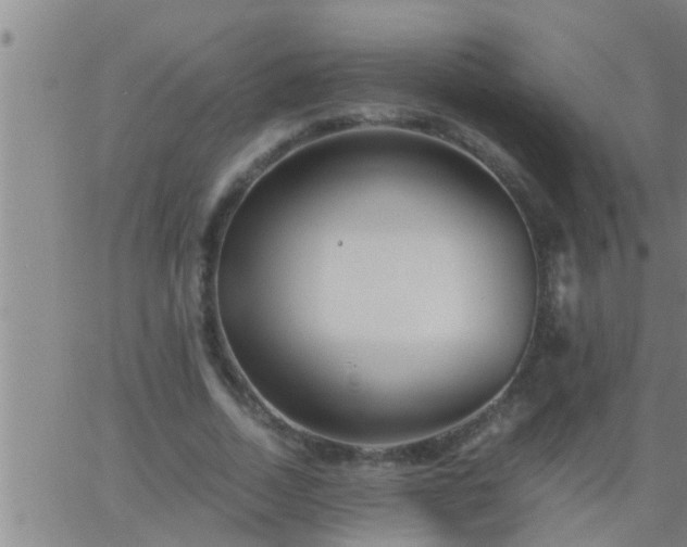 X0000063520730200601271835