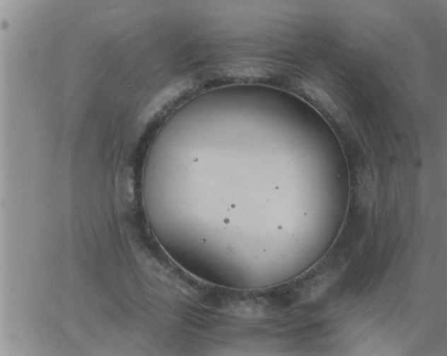 X0000063520731200601271835