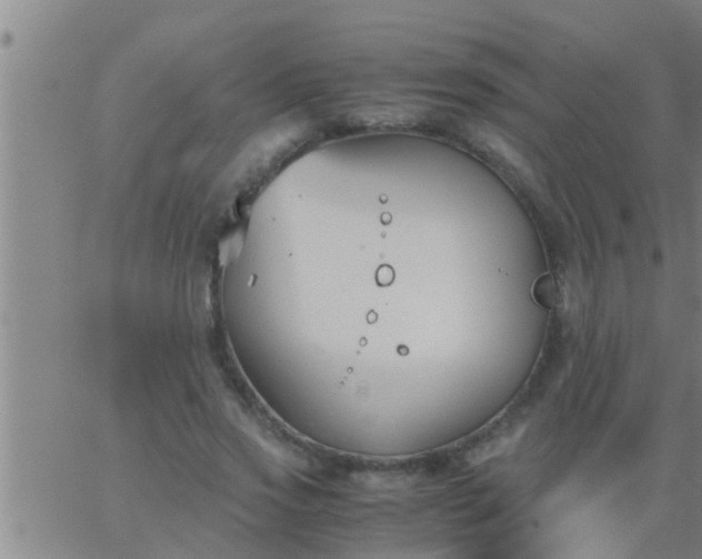 X0000063520733200601271835