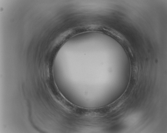 X0000063520734200601271835