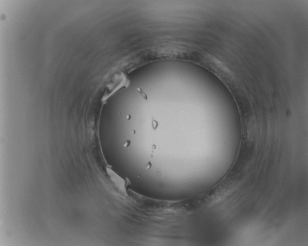 X0000063520737200601271835