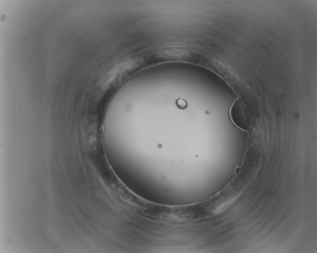 X0000063520739200601271835