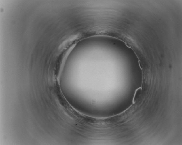 X0000063520740200601271835