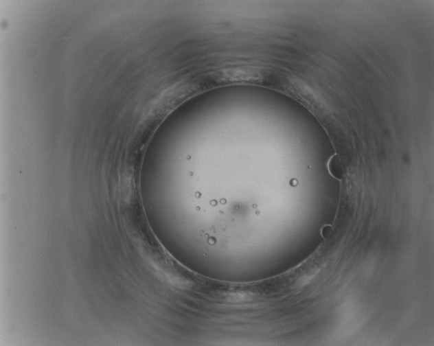 X0000063520741200601271835