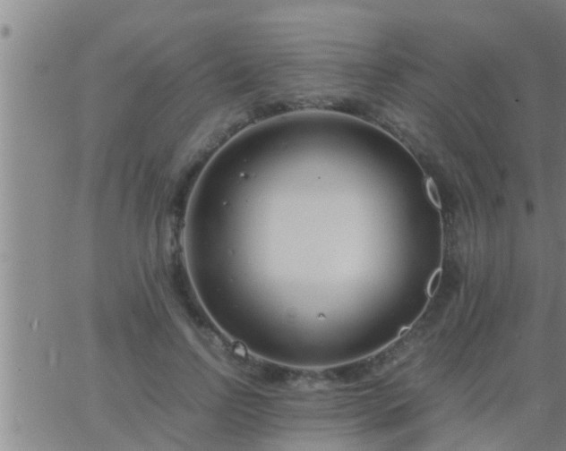 X0000063520742200601271835