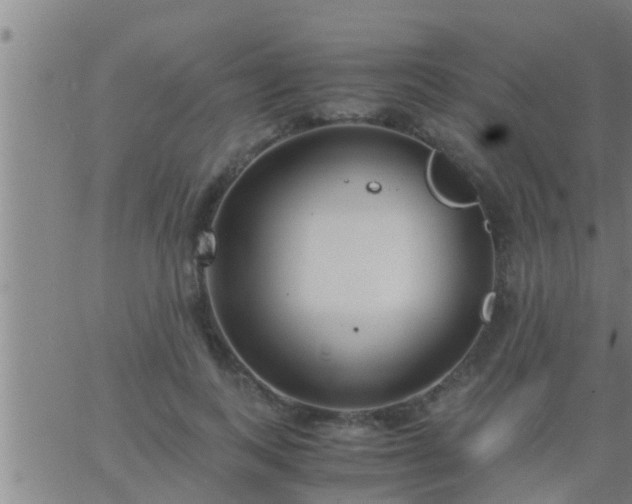 X0000063520743200601271835