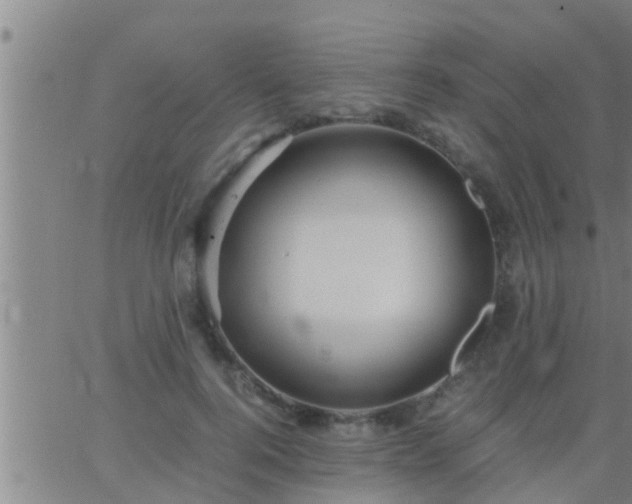 X0000063520744200601271835