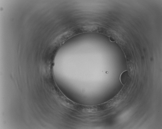 X0000063520745200601271835