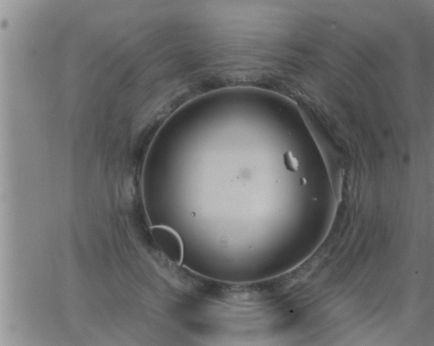 X0000063520746200601271835