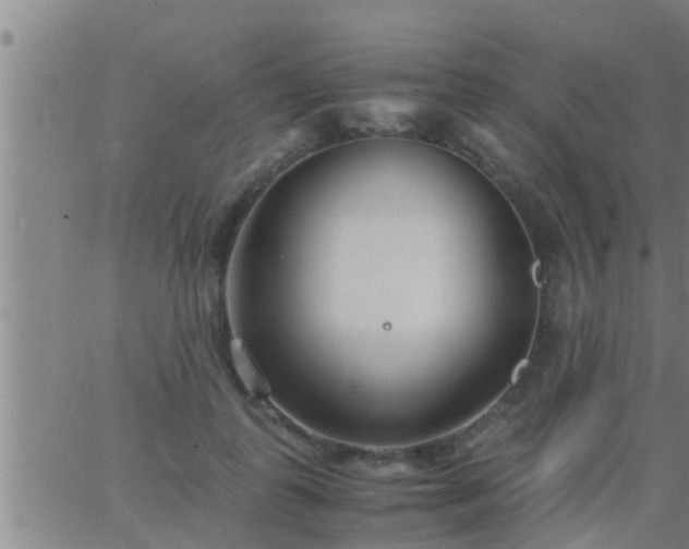 X0000063520747200601271835