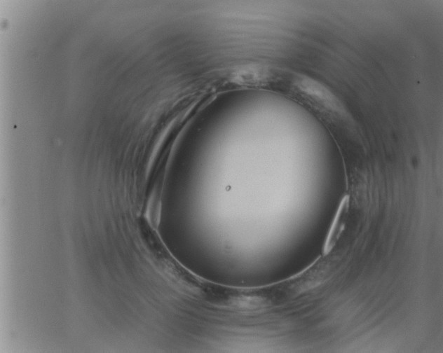 X0000063520748200601271835