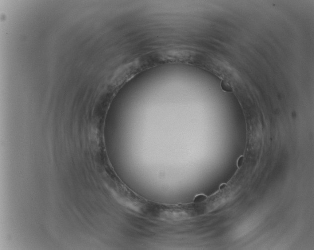 X0000063520749200601271835