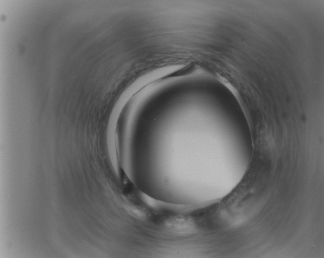 X0000063520750200601271835