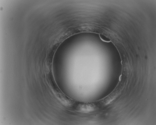 X0000063520751200601271835