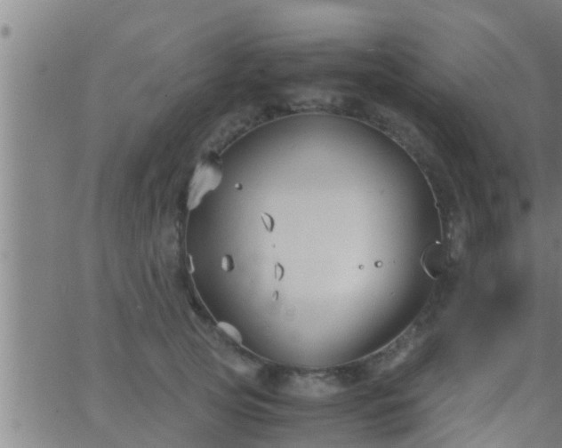 X0000063520753200601271835