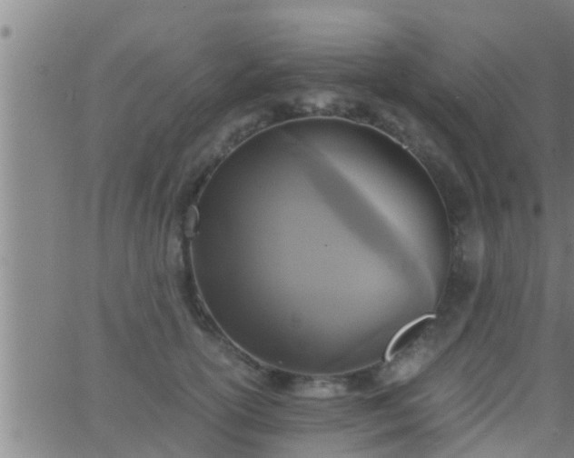 X0000063520754200601271835