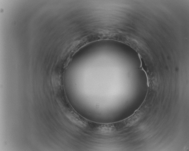 X0000063520756200601271835