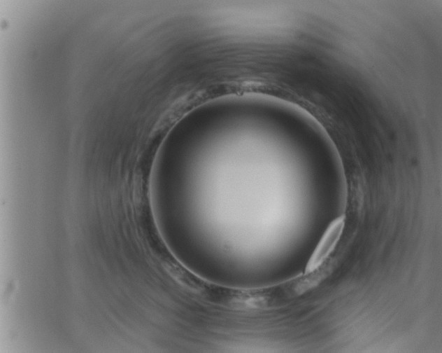 X0000063520760200601271835