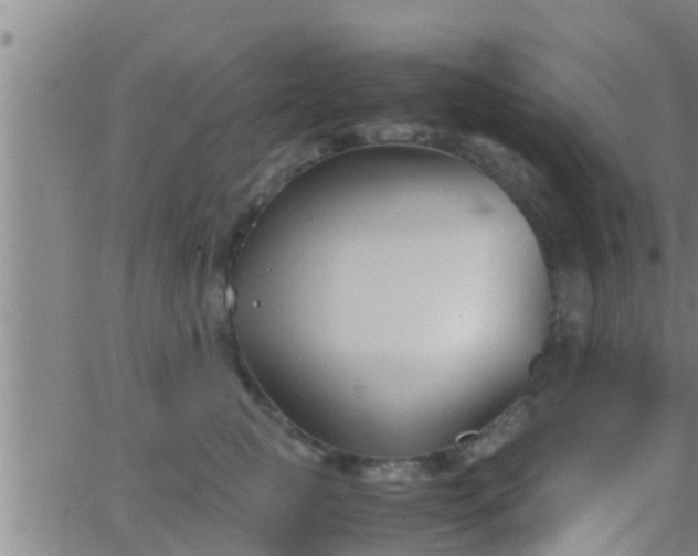 X0000063520761200601271836