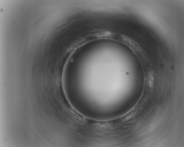 X0000063520763200601271836