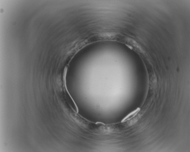 X0000063520764200601271836