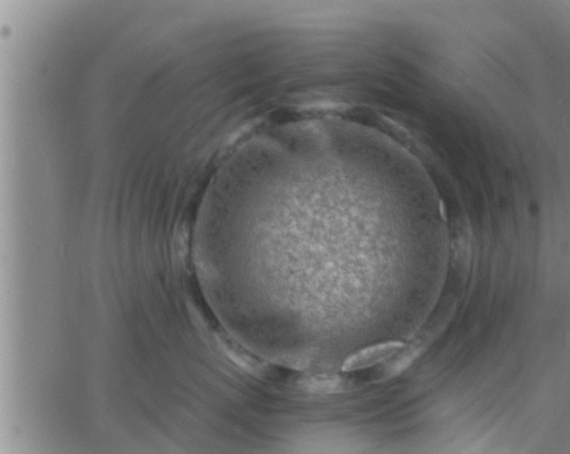 X0000063520767200601271836