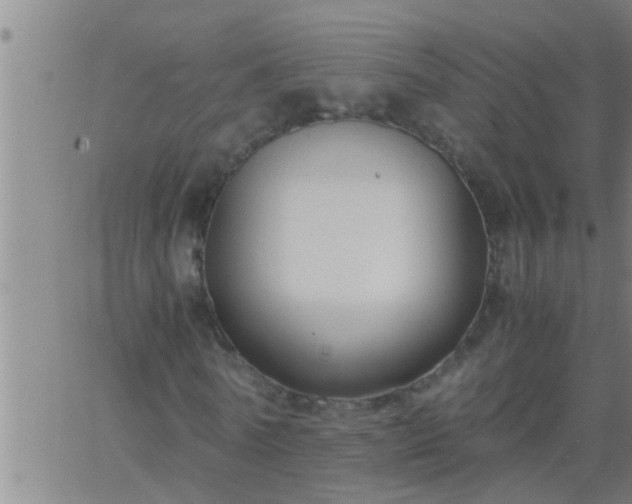 X0000063520770200601271835