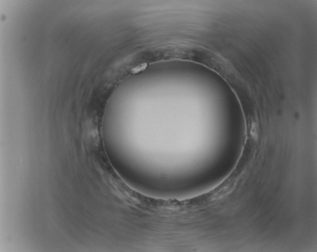 X0000063520771200601271835