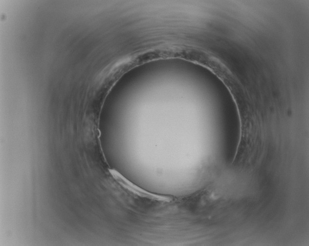 X0000063520773200601271835