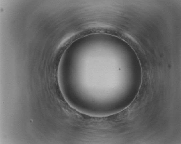 X0000063520775200601271835