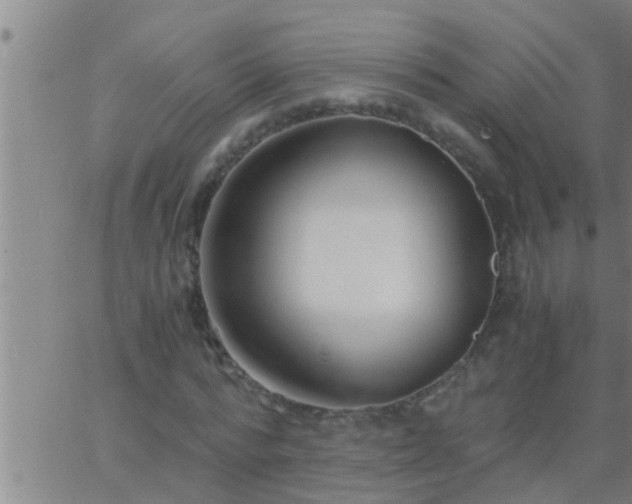 X0000063520776200601271835